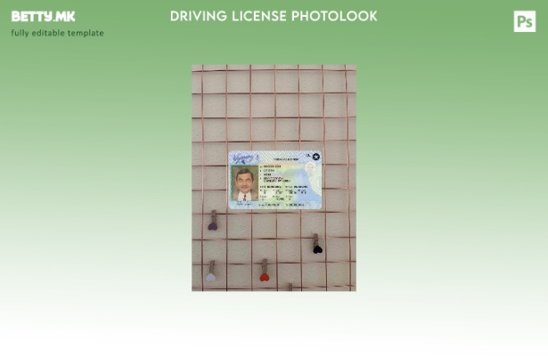 Модерен стил, шаблон за државна возачка дозвола САД Вајоминг во формат PSD, со с